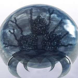 Meet your Posher, Dan